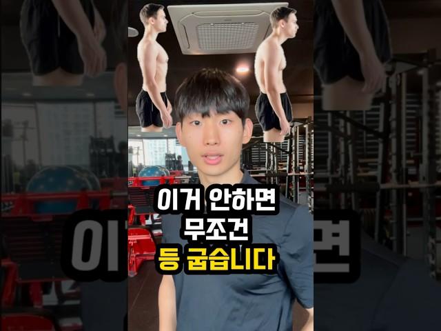 운동 초보를 위한 등 운동 루틴 공유!!!