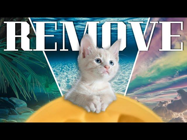 Photoshop VS Canva | Best Background Remover Tools for 2025: Top Picks for Effortless Image Editing