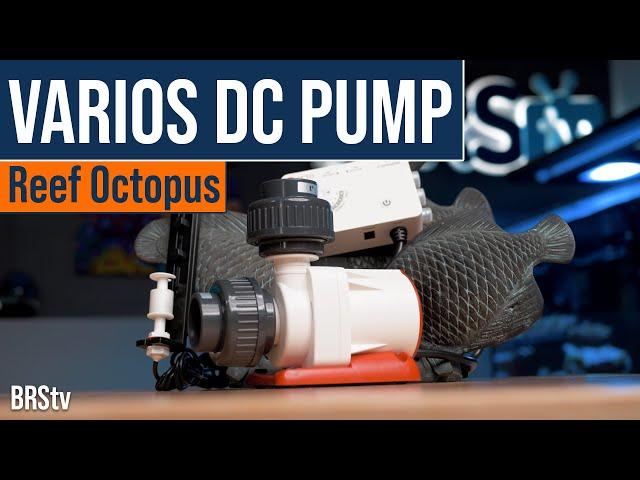 Our Highest Rated DC Return Pump or Reactor Pump For Reef Tanks! Reef Octopus Varios DC Pumps