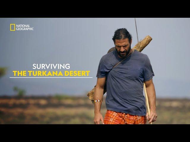 Desert Nomad | Primal Survivor | हिंदी |S4 - E1 | Nat Geo