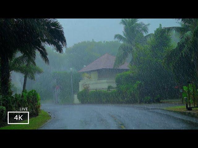 Dream with Heavy Rain & Thunder Sounds for Sleeping | ASMR Rain Walks Compilation for Meditation