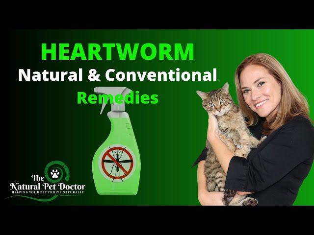 Heartworm Disease (Natural & Conventional Remedies) with Dr. Katie Woodley - The Natural Pet Doctor