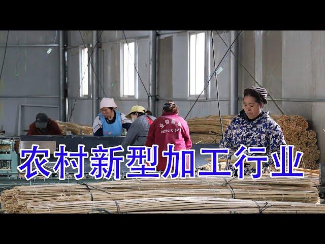 年入100多万的加工厂！设备投资不超3万，销路好找、市场需求大