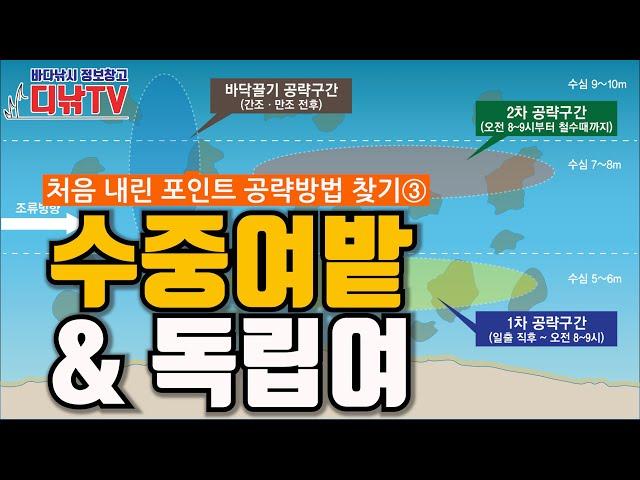 수중여밭 공략법 & 독립여 공략법, 처음 내린 포인트 공략방법 찾기③ [디낚TV 낚시공부방]