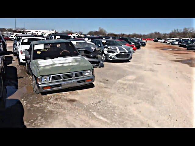 Insurance Auto Auction Pre-Sale Walk-Through