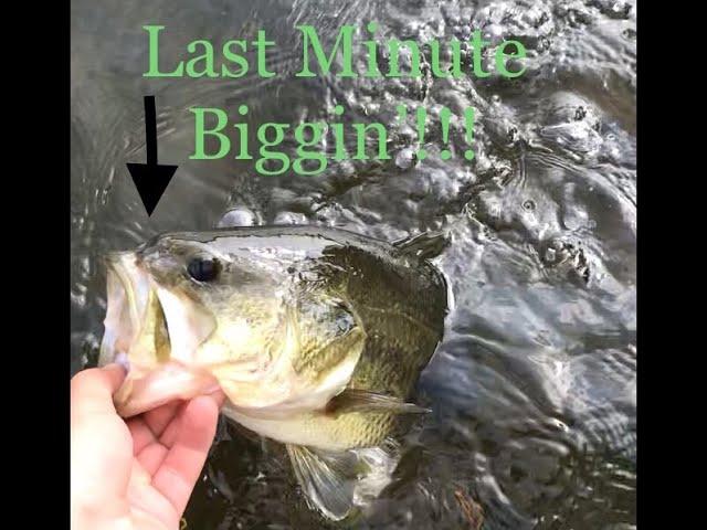 Big Bass Battle (Largemouth fishing in the Kayak!!)