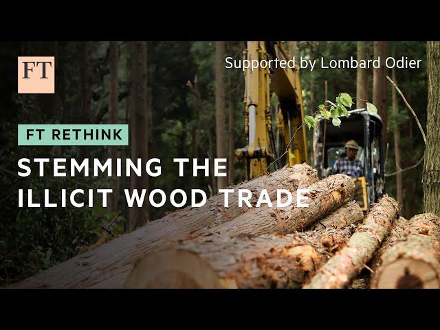 Forest detectives are tackling the illegal wood trade | FT Rethink