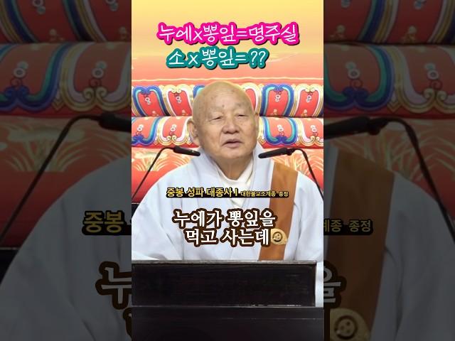 종정스님의 동안거 결제 법문 하이라이트 2024.11.15