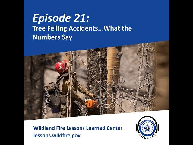 Episode 21 - Tree Felling Accidents...What The Numbers Say