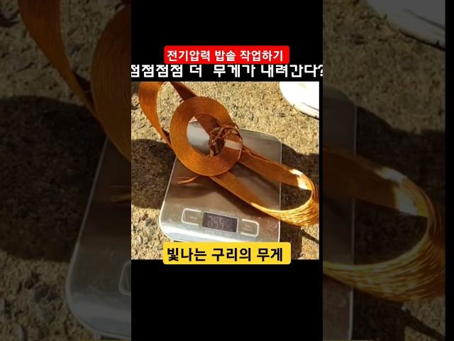 빛나는 구리의 무게?#shots/ 전기압력 밥솥 실시간 영상 (224그램의 기쁨) / 구독️부탁합니다/ #전기압력 밥솥 #구리 #실시간 #고물쟁이