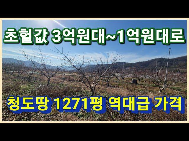 [낙찰]청도군 청도읍 3억후반대에서 1억원대로 떨어진 천평대의 법원경매 진행중인 농지연금 강추 청도싼땅 청도땅 입니다