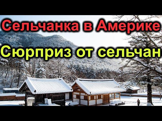 Сельчанка в Америке.Сюрприз. Гости