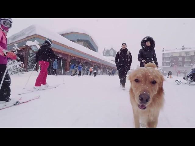 Big White Ski Resort, BC, Canada