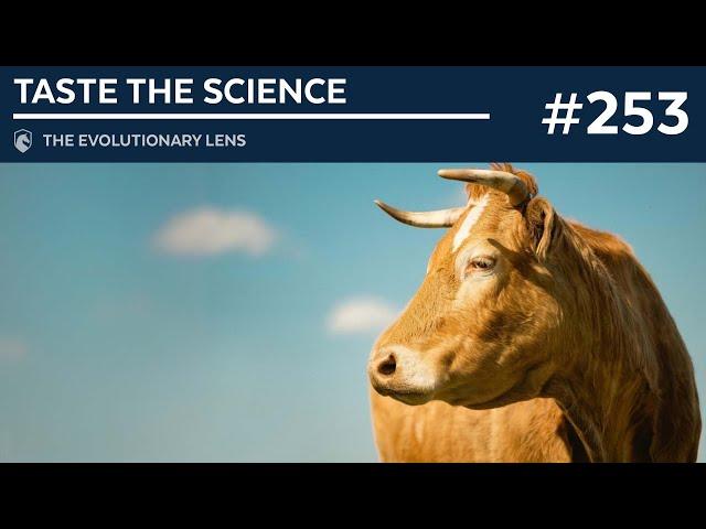 Taste the Science: The 253rd Evolutionary Lens with Bret Weinstein and Heather Heying