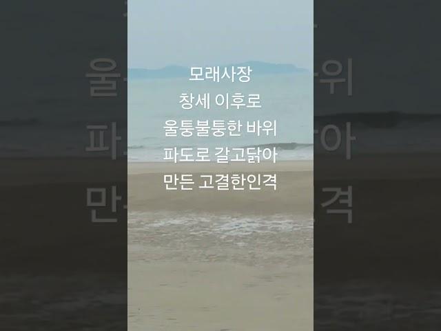 모래사장4 최길용 신안증도 짱뚱어해변