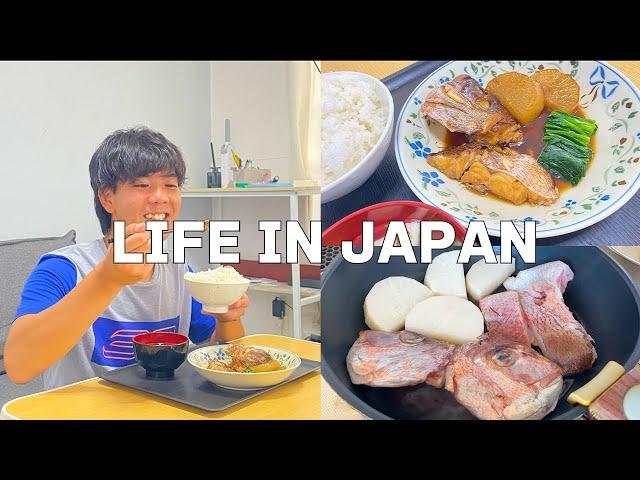 [Vlog] Daily life in Japan I made a traditional Japanese simmered fish dish!