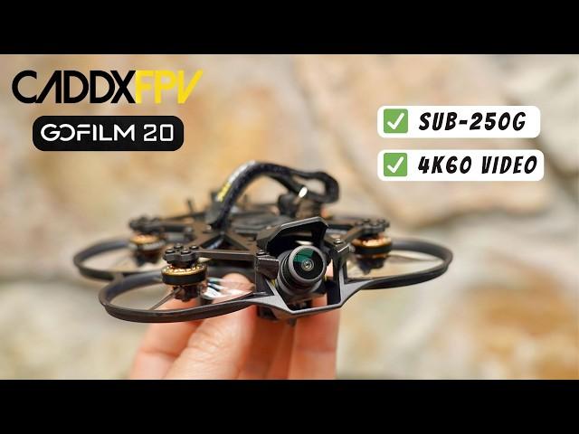 Switch from DJI to Walksnail?  Caddx GoFilm 20 is sub-250g FPV drone that records 4660!