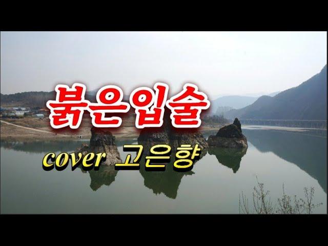 붉은입술 cover고은향 230128(나훈아)