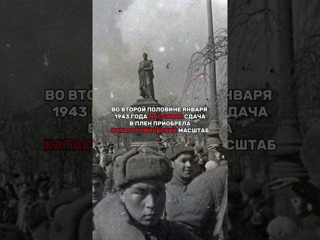 ПОЧЕМУ НЕМЦЫ В СТАЛИНГРАДЕ МАССОВО СДАВАЛИСЬ В ПЛЕН?! #история #россия #ссср #факты