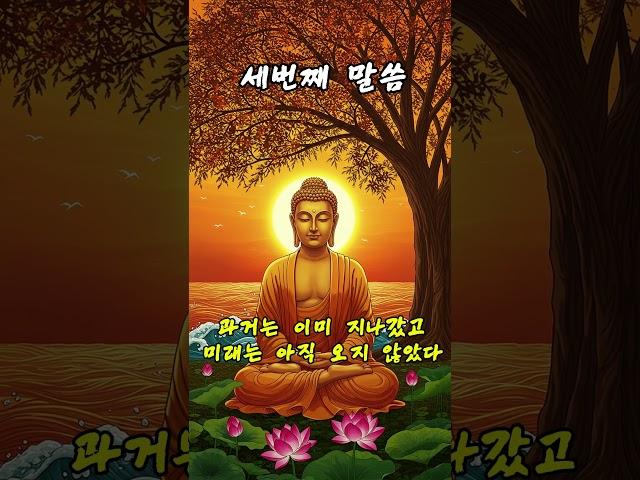 부처님말씀 - “오늘 하루, 이렇게 비워보세요" #부처님말씀 #불교명언 #부처님 #명상