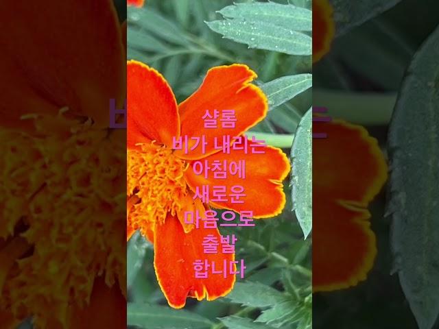 #구독 #드림찬양선교방송 #방근숙찬양tv #복음 #선교 #열방 #유튜브방송 #010 7149.2120