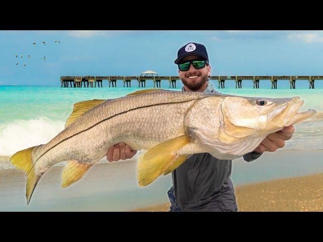 48 Hours Chasing GIANTS From The Beach! (Florida Mullet Run 2024)