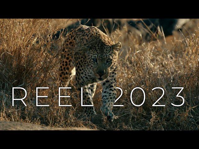 Conservation Film Company Showreel 2023