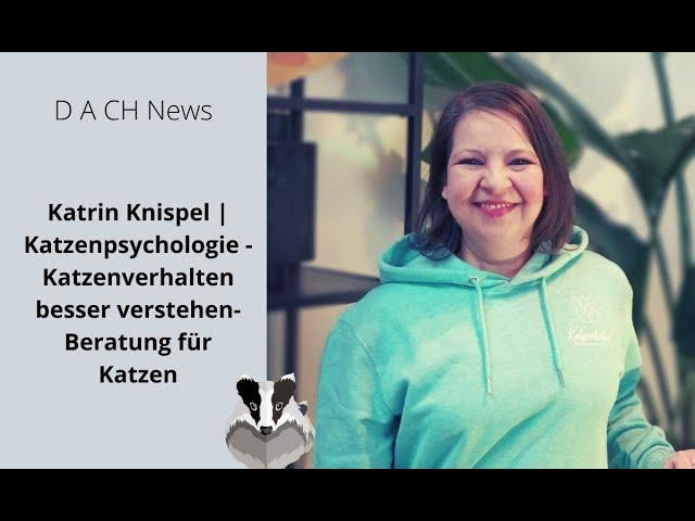 Katrin Knispel | Katzenpsychologie - Katzen verhalten besser verstehen - Katzenpsychologe in NRW