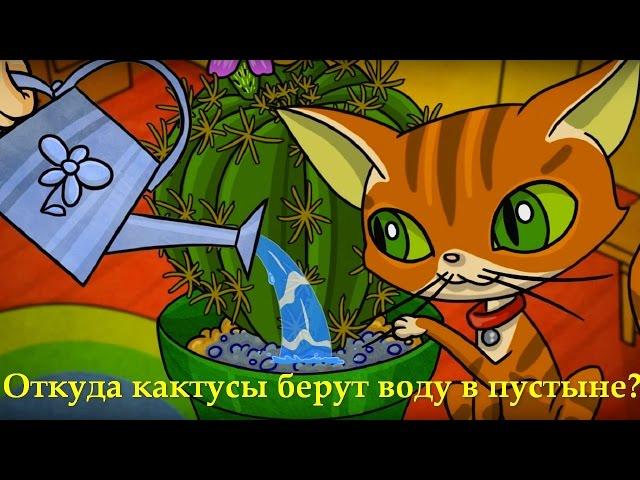 Профессор Почемушкин - Познавательный мультфильм для детей – Откуда кактусы берут воду в пустыне?
