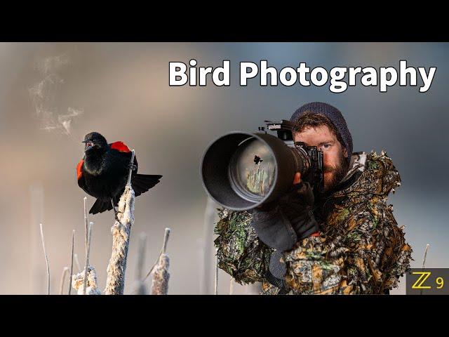 BIRD PHOTOGRAPHY | SHARP photos | PRO tips using the BEST camera settings for wildlife | Nikon Z9