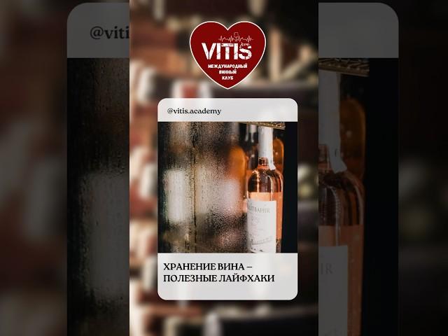 Как правильно хранить вино? #vitispro #shorts