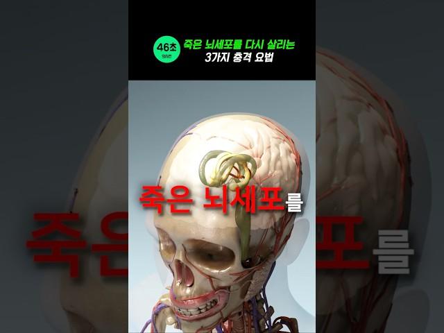 죽은 뇌세포를 다시 살리는 3가지 충격 요법 #건강 #뇌건강 #뇌세포 #뇌혈관 #뇌혈관질환 #뇌졸중
