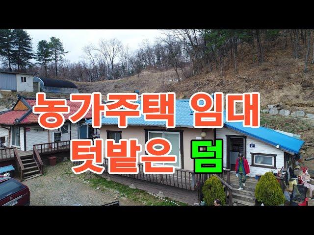 거래완료-횡성 농가주택 임대 텃밭은 덤 #횡성전원주택#농가주택#임대[매물번호26-1658]#횡성전원주택임대#횡성주말주택임대#농가주택임대