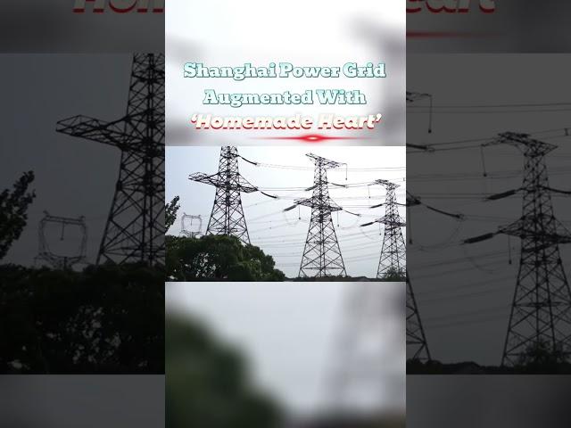 Shanghai power grid augmented with 'homemade heart'#china#innovation#power#technology