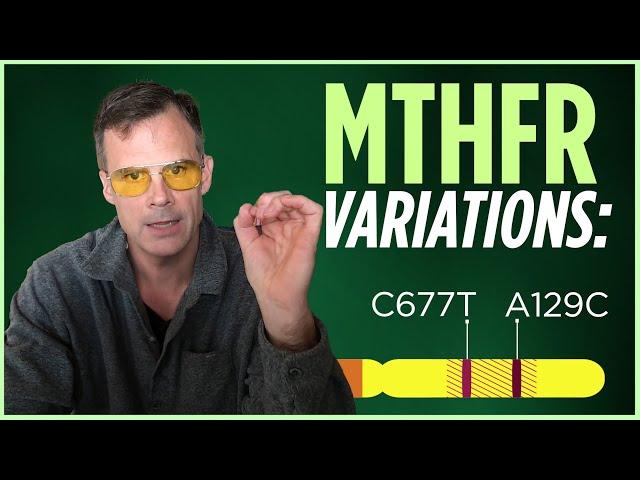 Two Main MTHFR Variants Explained: MTHFR C677T and MTHFR A1298C