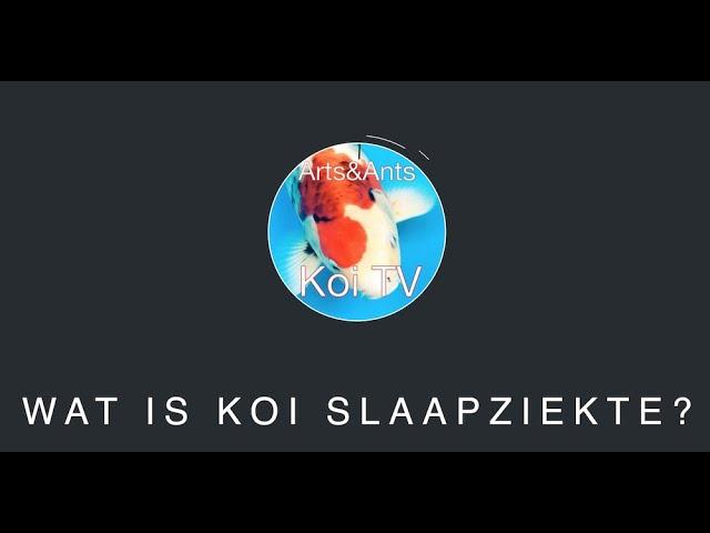 Wat is KOI SLAAPZIEKTE ?  Quarantaine koi tv deel 6