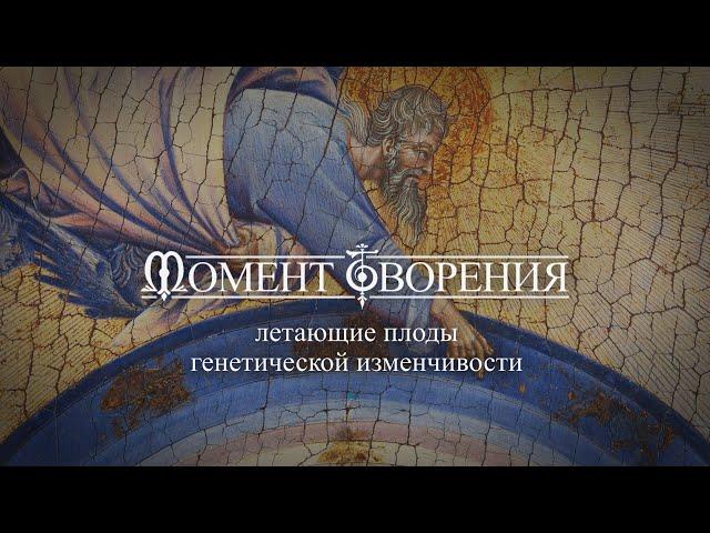 МОМЕНТ ТВОРЕНИЯ. Летающие плоды генетической изменчивости