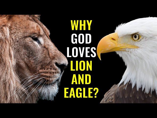 Why God Identifies Himself with Lion and Eagle? | Insider Wisdom