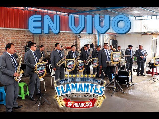 Flamantes de Huancayo - En Vivo 2024