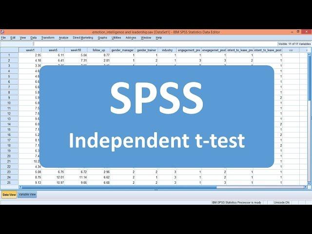 Independent t-test - SPSS (Example 1)
