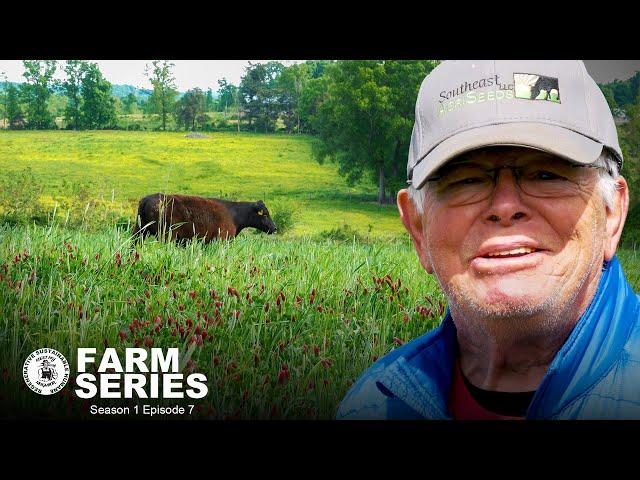 Grass Fed Grass Finished Beef | Smithview Farm | MMNP Farm Series Season 1 Episode 7