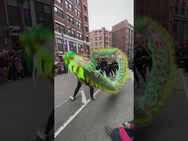 Dragon Dance - 2023 Chinese New Year Celebration Boston 2 #shorts #tiktok