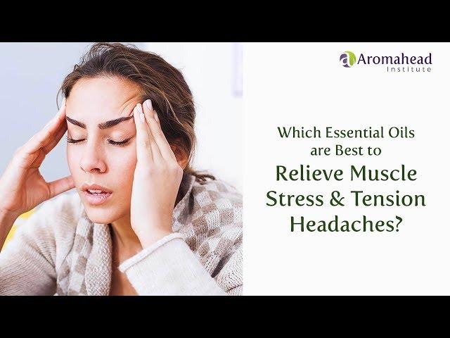 Which Essential Oils are Best to Relieve Muscle Stress?