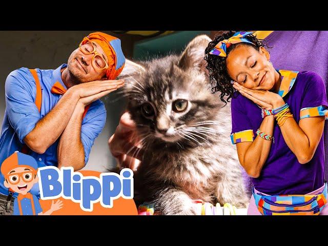 Cute animals! Blippi | Kids TV Shows | Cartoons For Kids | Fun Anime | Popular video