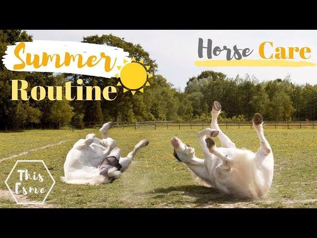 SUMMER Horse Care ROUTINE | AD | This Esme