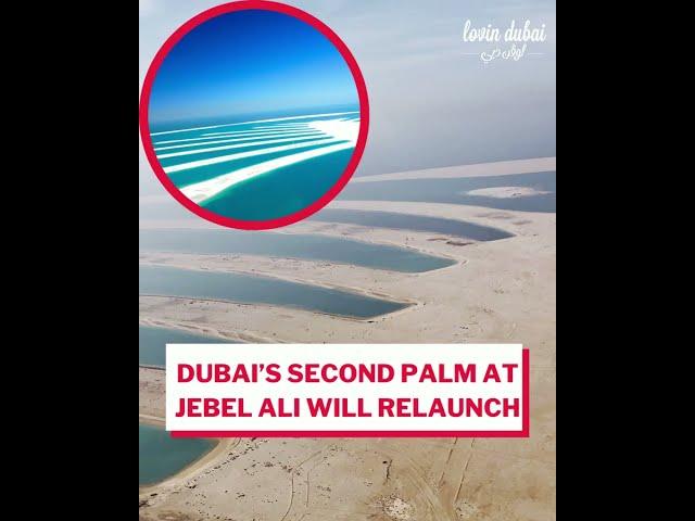 Record Dubai villa sale, Palm Jumeriah Billionaire's Row sold for AED302.5 MILLION  #shorts