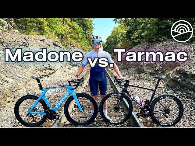Trek Madone Gen 7 vs. Specialized Tarmac SL8