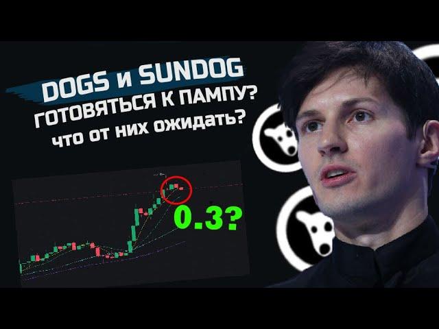 DOGS и SunDog - ожидают ПАМП? Как заработать?