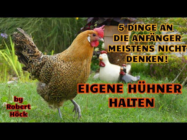 Hühnerhaltung: 5 Dinge an die Anfänger nie denken + Wie viel Platz brauchen Hühner? HAPPY HUHN E369