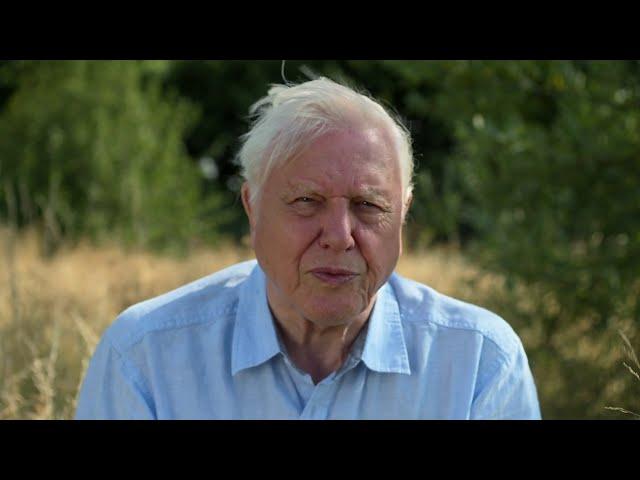 Wildscreen Trailer featuring Sir David Attenborough